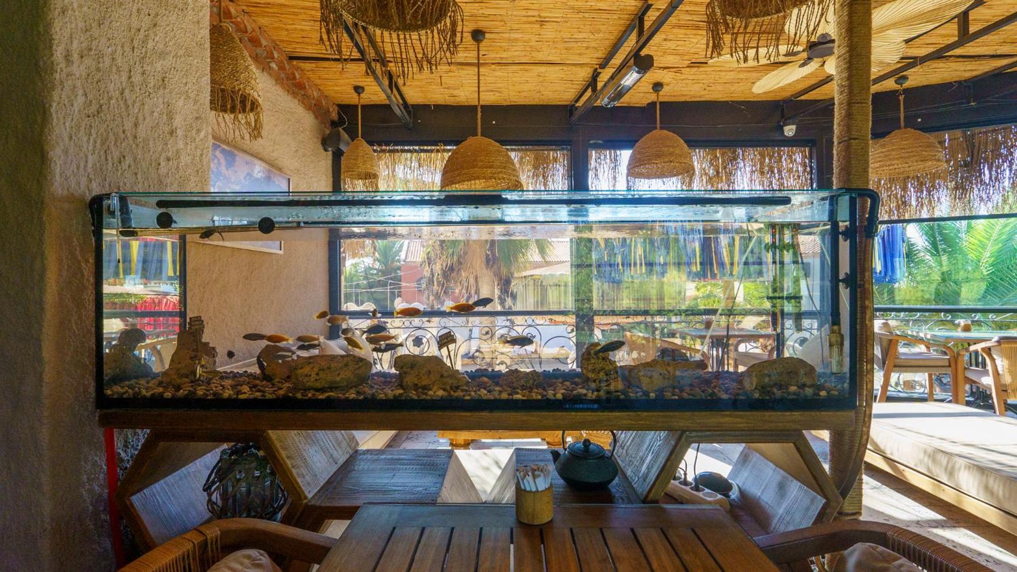 Alacati Aura Plus İzmir Luaran gambar